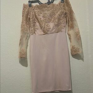 Elegant Off-Shoulder Lace Dress in Blush